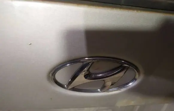 Hyundai Trajet Manufacturer badge logo/emblem 