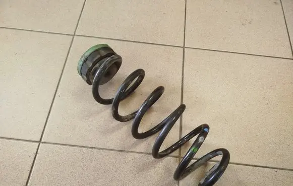 Rear coil spring