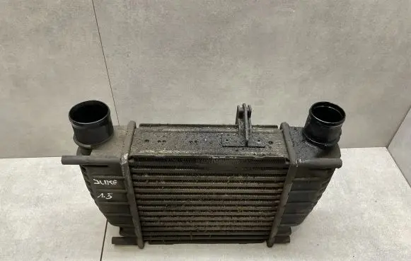 Nissan Juke I F15 Intercooler radiator 14461EM00A