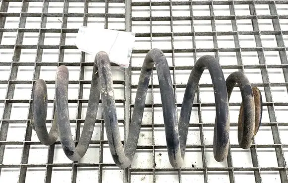 Rear coil spring