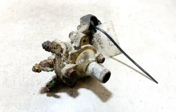Renault Scenic I Engine coolant pipe/hose 0359211
