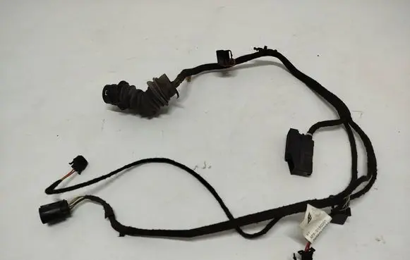 Rear door wiring loom