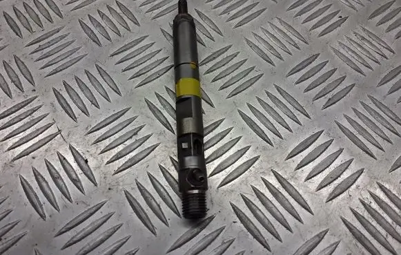 Renault Clio III Fuel injectors set BRAK