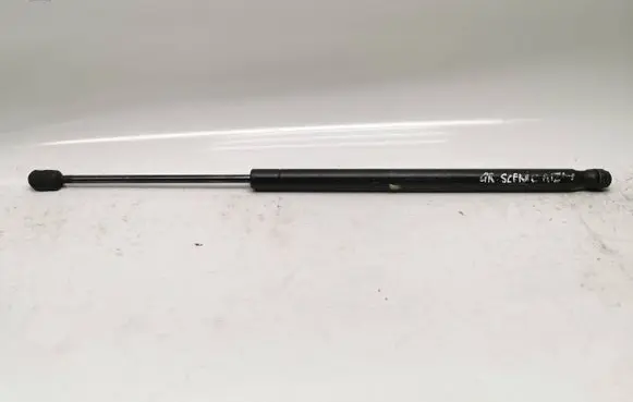 Tailgate/trunk strut/damper