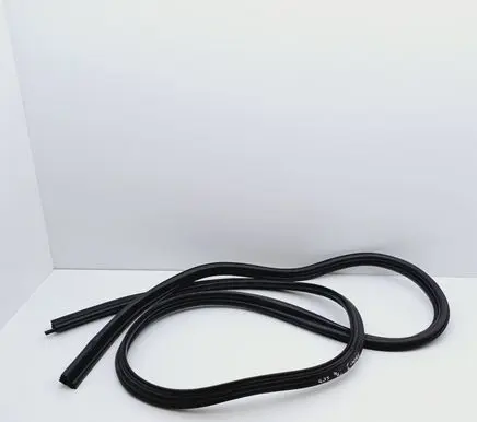 Ford Focus Rear door rubber seal (on body) 