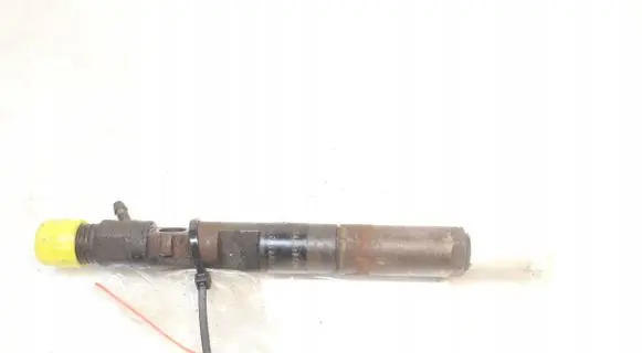 Renault Fluence Fuel injector