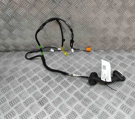 Rear door wiring loom