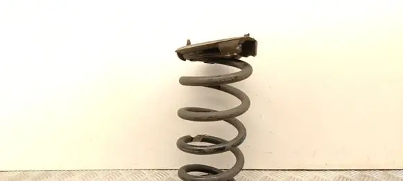 Tesla Model Y Rear coil spring 118847600B