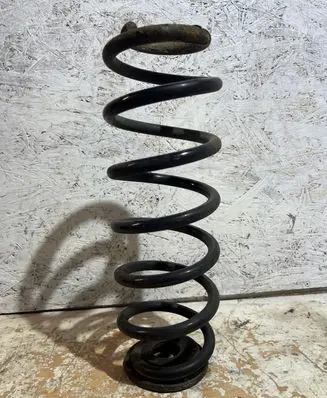 Volkswagen PASSAT B6 Rear coil spring