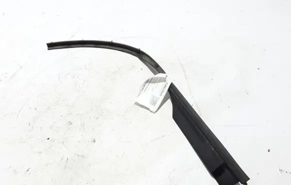 Renault Zoe Rubber seal front door (on door) 802174731R