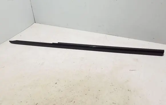 Rear door trim (molding)