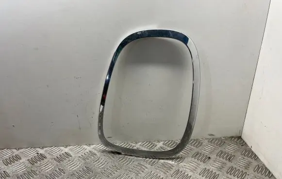 Rear/tail light trim molding