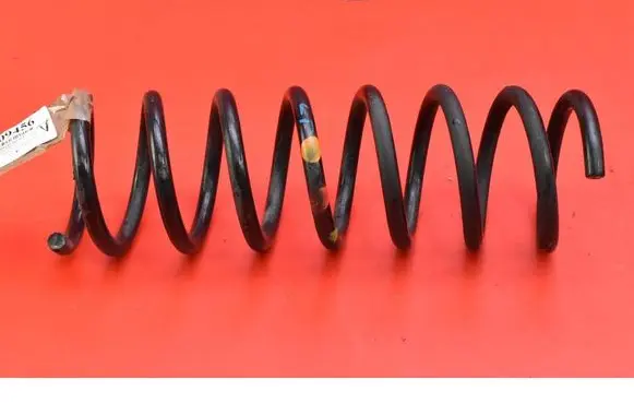 Rear coil spring
