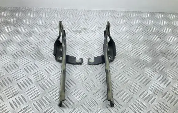 Volkswagen Tiguan Engine bonnet/hood hinges 5N0823301A 5N0823302A