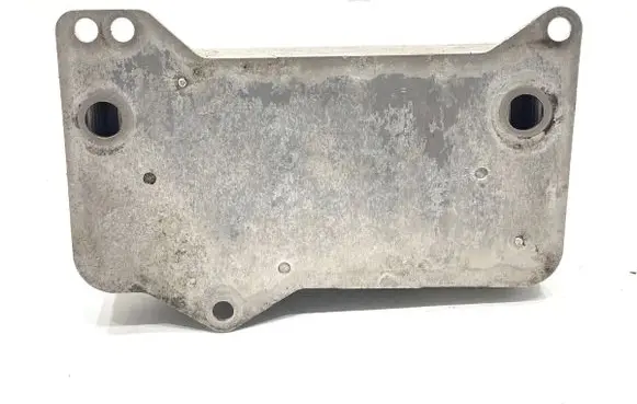 Skoda Kodiaq Engine oil radiator 0GC317019C
