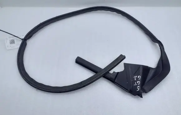 BMW 5 GT F07 Rubber seal rear door window/glass 7176777