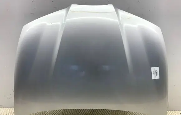 Engine bonnet/hood