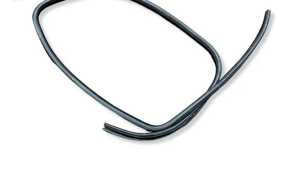 Dodge Charger Rear door rubber seal (on body) 