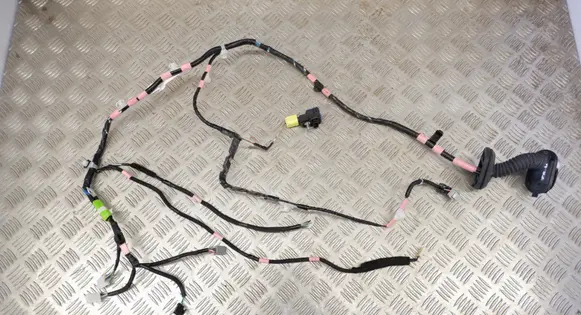 Lexus RX 450H Front door wiring loom 8983A47010 8215248870