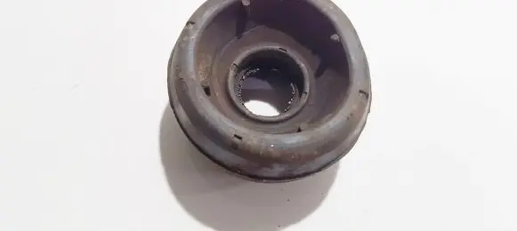 Coil spring mount