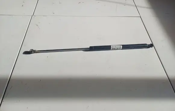 Tailgate/trunk strut/damper