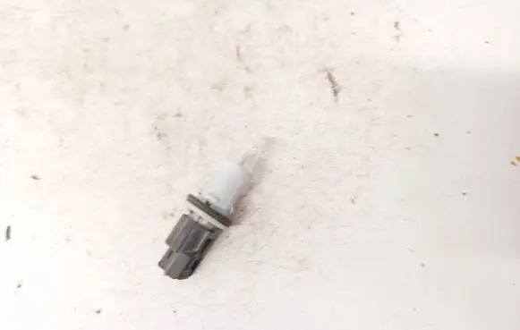 Honda Accord Rear tail light bulb 