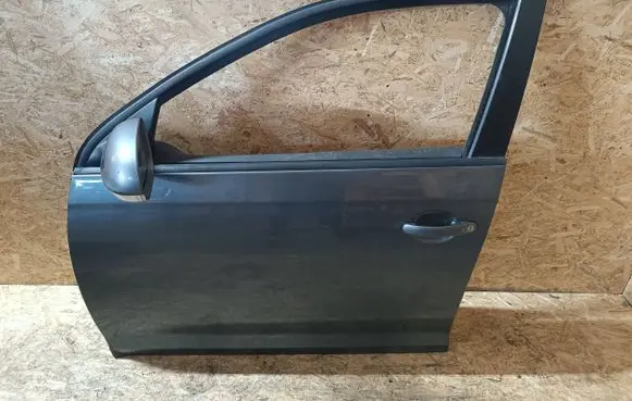 Volkswagen Golf V Front door