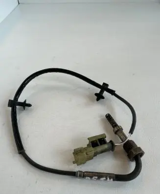 Exhaust gas temperature sensor