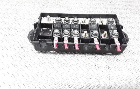 Nissan Terrano Fuse module