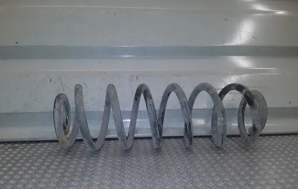 Skoda Octavia Mk2 (1Z) Rear coil spring 