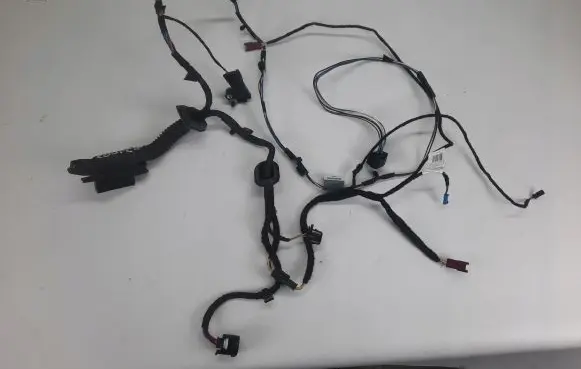 Front door wiring loom