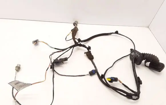 Renault Espace - Grand espace IV Front door wiring loom 8200517567