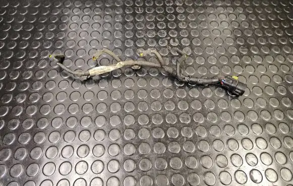 Citroen C4 Aircross Glow plug wires 8541B800