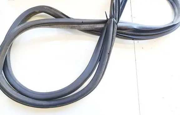 Peugeot 307 Rubber seal front coupe door 9634451580