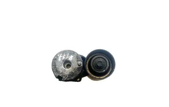 Renault Laguna III Generator/alternator belt tensioner 