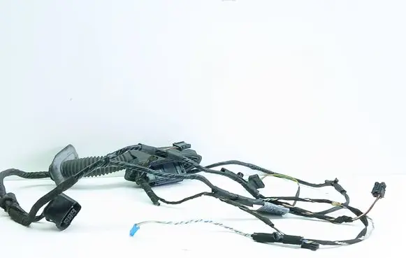 BMW X5 E70 Front door wiring loom 9169242 9205728