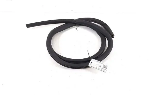 Rear door rubber seal (on body)