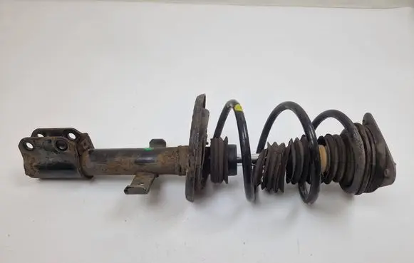 Renault Zoe Front shock absorber/damper 