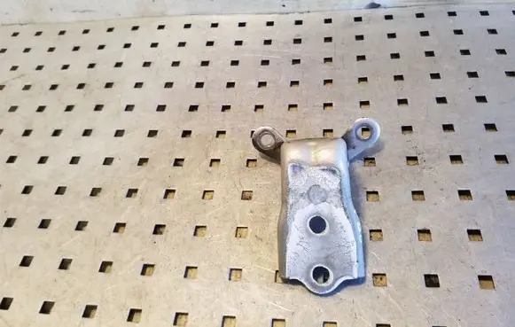 Opel Antara Front door lower hinge 