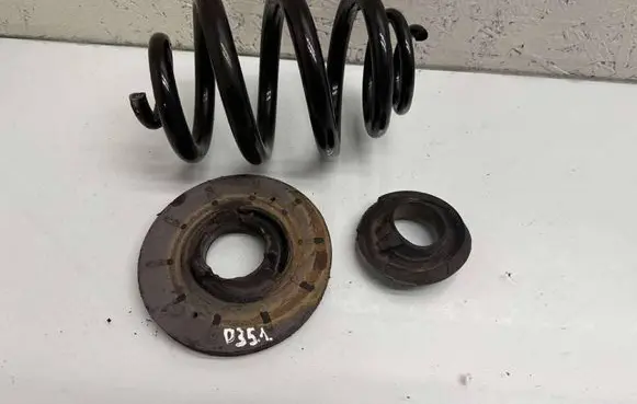 Rear coil spring
