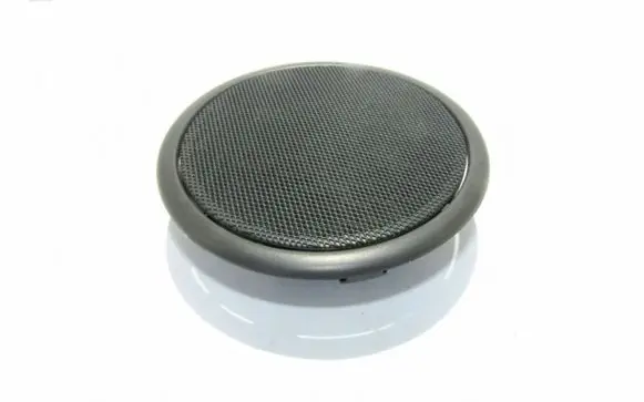 Rear door speaker