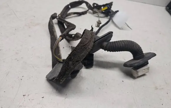 Renault Megane II Front door wiring loom 