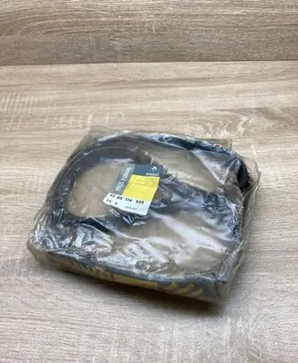 Renault Kangoo II Alternator belt 7700114635