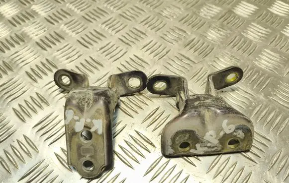 Hyundai Sonata Rear door hinge set 