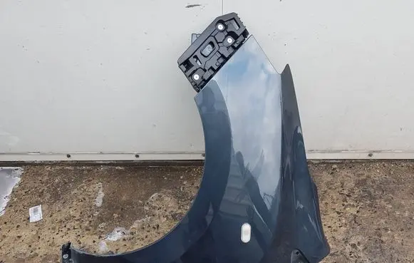 Dacia Dokker Fender 260928639RXAUTOPX 260928639R