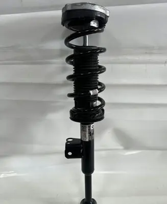 BMW 5 G30 G31 Front shock absorber with coil spring 6896038