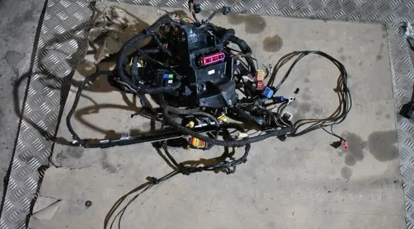 Porsche Panamera (971) Other wiring loom 972974029TAB052281