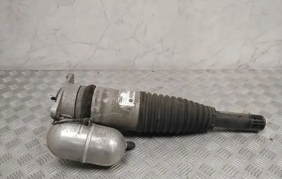 Audi A8 S8 D5 Rear shock absorber/damper 4N0616002L
