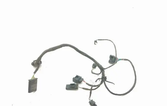 Other wiring loom