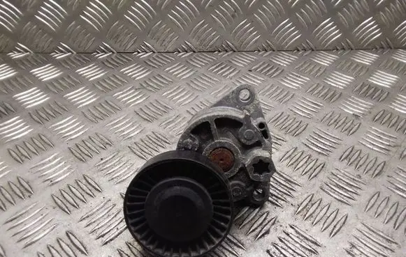 Hyundai Terracan Generator/alternator belt tensioner